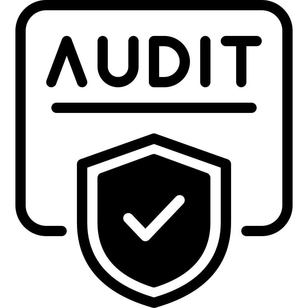 Security Audits and Measures